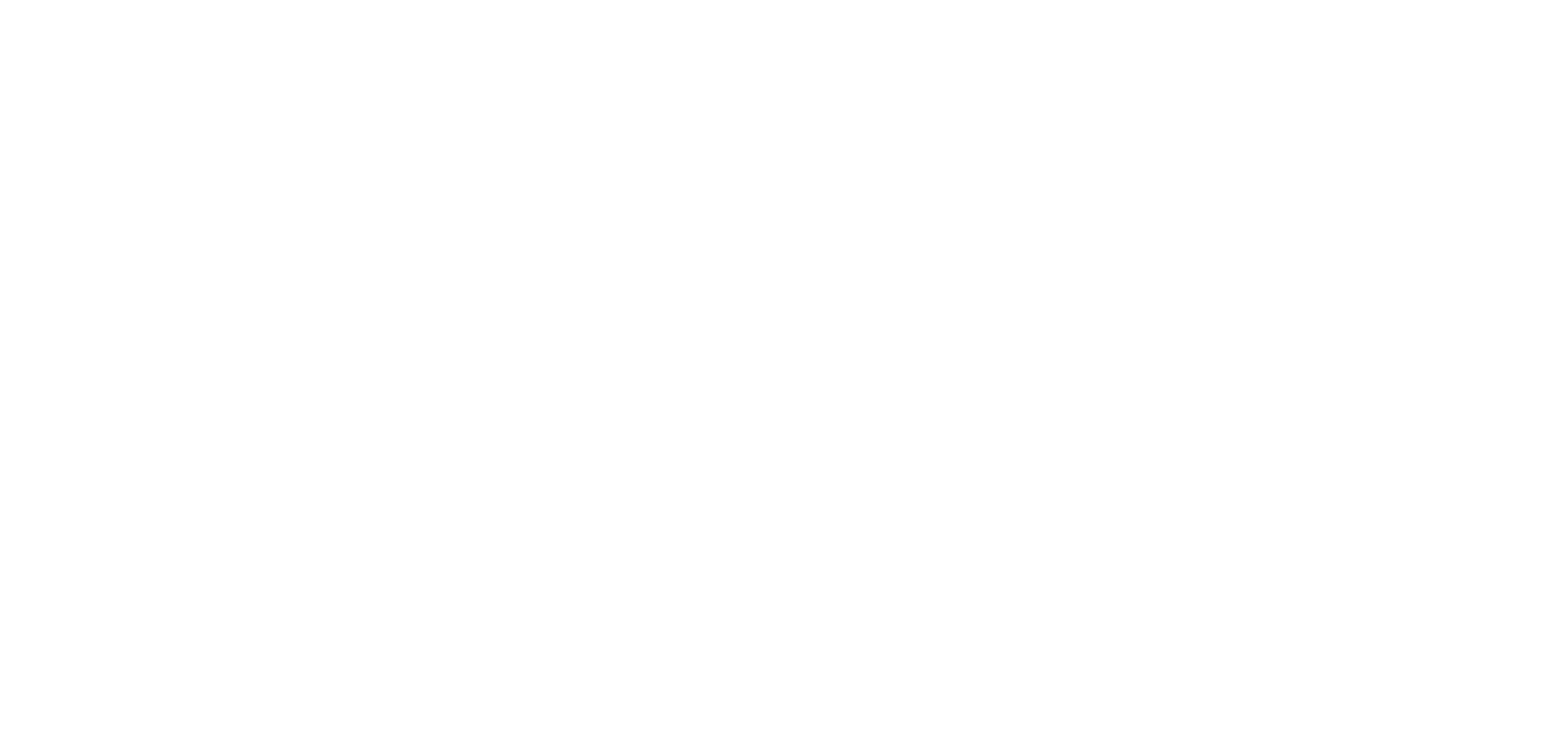 NEM Consulting Strategies, Inc.